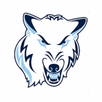 Northwood University Logo