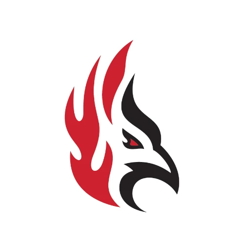 Carthage University